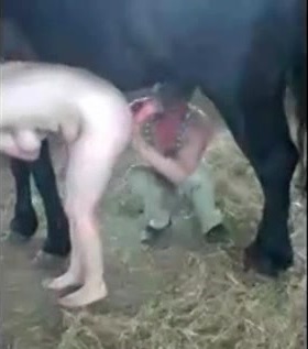 Отважная российская пампушка с конем